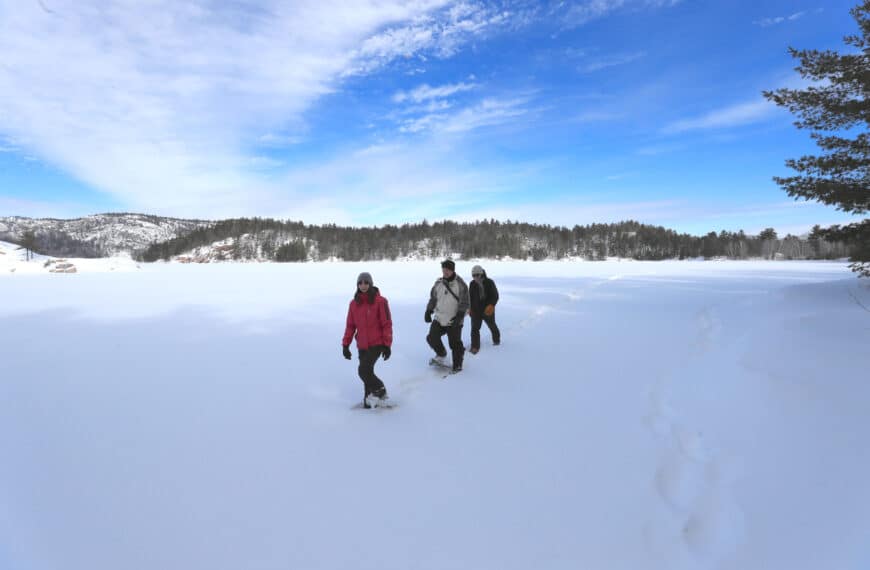 Guided Snowshoe/Hike – Winter Season